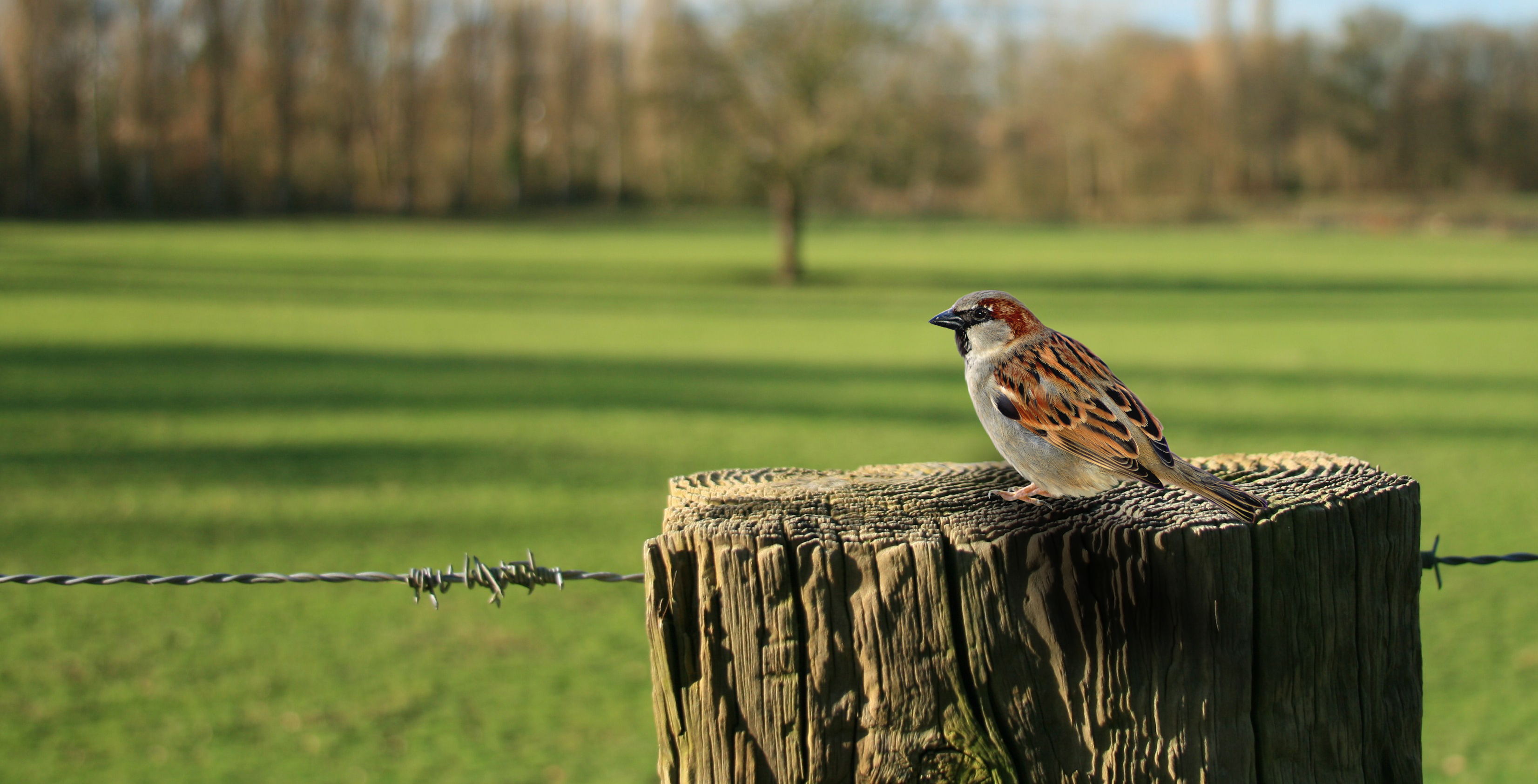 Bed and Breakfast in Twente